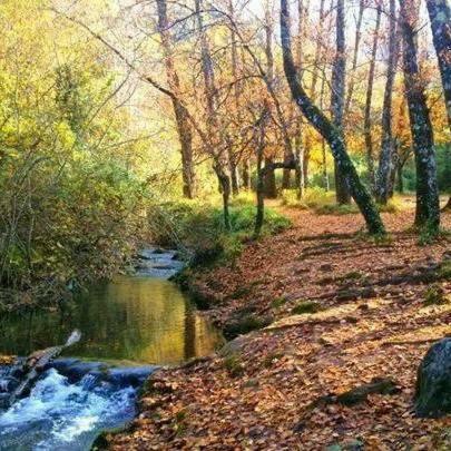 Casa La Vega Guest House Ел Боске Екстериор снимка